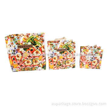 Paper bag with string, suitable for shopping, package